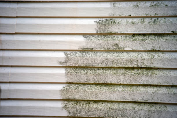 Reliable Fowler, MI Siding Installation & Repair Solutions
