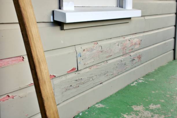 Historical Building Siding Restoration in Fowler, MI