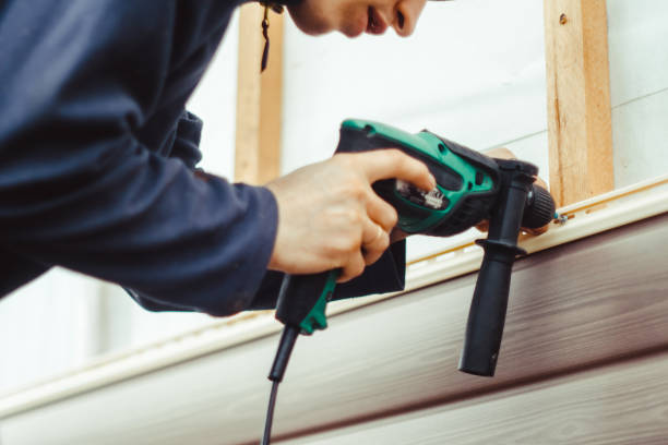 Best Aluminum Siding Installation  in Fowler, MI